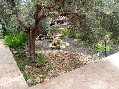 Κήπος έξω από το Casa vacanze l'ulivo