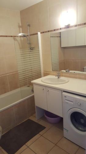 une salle de bain avec un lavabo et une machine à laver dans l'établissement LES EMBRUNS - SPACIEUX APPARTEMENT AVEC PISCINE - wifi- parking, à Saint-Cyprien
