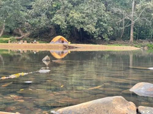 Landskap semula jadi dekat dengan perkhemahan mewah