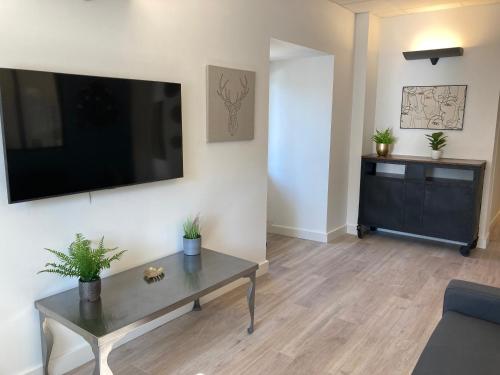 TV a/nebo společenská místnost v ubytování L’atelier d’Auguste
