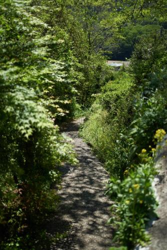 a dirt path with bushes and flowers on it at OldbutNew 蔵 in Hara