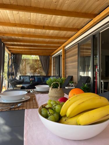 Mobile Home Jana