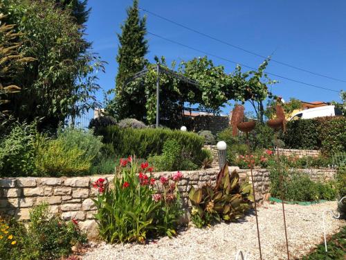 Κήπος έξω από το Casa Stefanie
