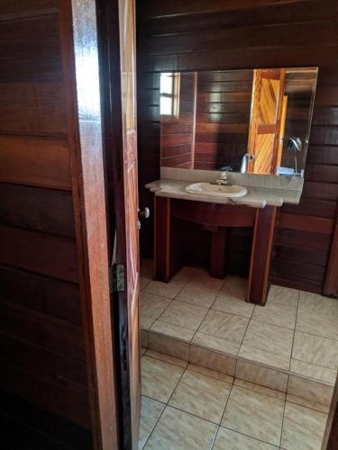 a bathroom with a sink and a mirror at Hostel Park in Uberlândia