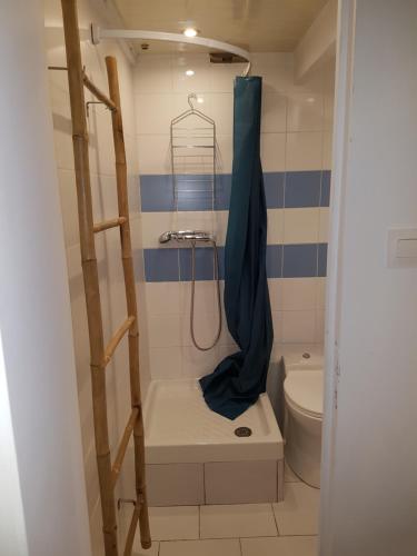 une petite salle de bain avec douche et toilettes dans l'établissement Charmant studio tout équipé au coeur d Avignon, à Avignon