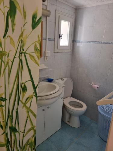 a bathroom with a toilet and a sink at LOCATION CORSE in Canari