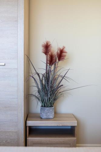 a potted plant sitting on top of a wooden table at GoodNight Apartment Slengiai in Mozūriškiai