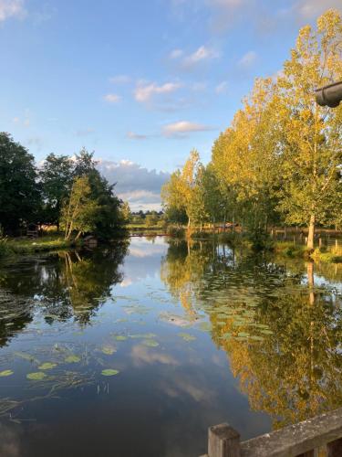 une rivière avec des arbres réfléchissant dans l'eau dans l'établissement Le Moulin De Bretigneul, à Saint-Aubin-des-Landes