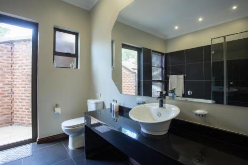 a bathroom with a sink and a toilet at Buffalo Brooke in Hectorspruit