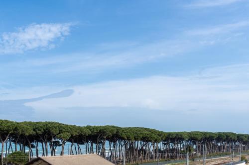 Gambar di galeri bagi Hotel La Pineta di Pineto