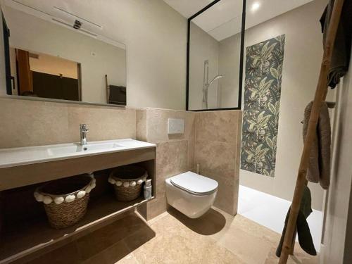 ein Badezimmer mit einem Waschbecken, einem WC und einem Spiegel in der Unterkunft Domaine Mas Terra in Saint-Paul-de-Fenouillet