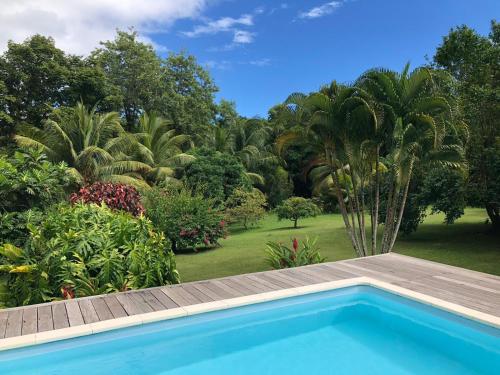 a swimming pool in front of a garden with trees at La Case Dentelle in Le Diamant