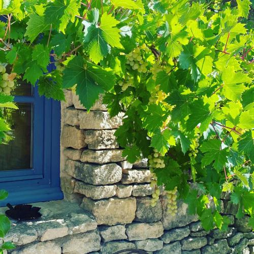 a cat sitting next to a stone wall with a blue window at Mas de la Beaume in Gordes