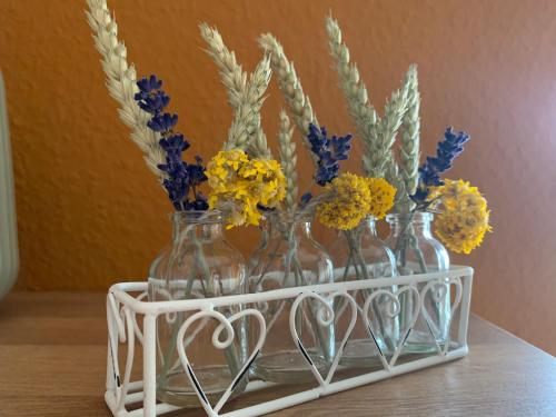 three glass vases with flowers in them on a shelf at FEWO "Rabennest " Gemütliche Wohnung nahe Rabensteinklinikum - kein separates Schlafzimmer, Studiowohnung in Chemnitz