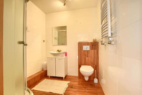 a bathroom with a toilet and a sink at Apartamenty Soszów in Wisła