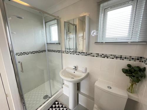 a bathroom with a shower and a sink and a toilet at 93 Broadside Holiday Chalet near Broads & Beaches in Stalham