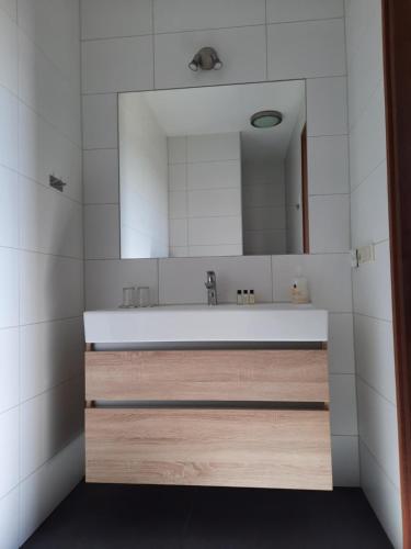 een badkamer met een wastafel en een spiegel bij Jaegershoes in Belfeld