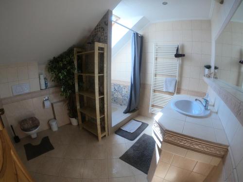 Pokój z widokiem na góry oraz łazienką z prysznicem i umywalką. w obiekcie Villa Maria w Wielkiej Łomnicy