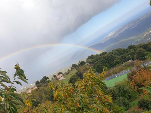 a rainbow in the sky over a river with trees at Oasi del benessere in Ilbono