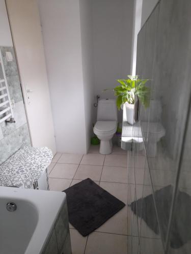 a bathroom with a toilet and a sink with a plant at DOLINA ROZTOKI-mieszkanie,pokoje lub domek z lokalem na poddaszu in Bircza