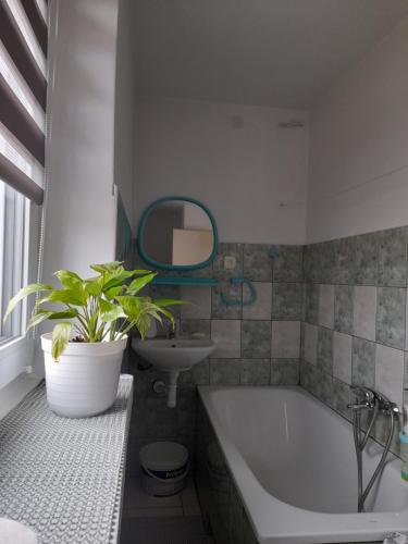 a bathroom with a tub and a sink and a plant at DOLINA ROZTOKI-mieszkanie,pokoje lub domek z lokalem na poddaszu in Bircza