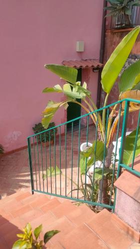 a green gate with a plant in front of a building at Hotel Villino Gallodoro in Taormina