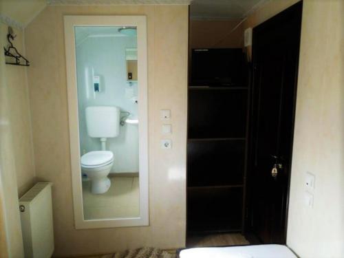 a bathroom with a toilet and a glass door at Hotel Restaurant Plutitor Delta Ways in Nufăru