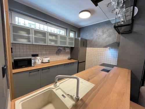 eine Küche mit Spüle und Arbeitsplatte in der Unterkunft Booky Apartment in Belgrad