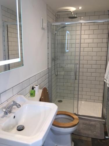 a bathroom with a toilet and a sink and a shower at Cosy getaway near Rutland Water in Oakham