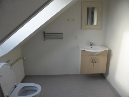 een badkamer met een toilet en een wastafel bij Harboøre Hotel in Harboør
