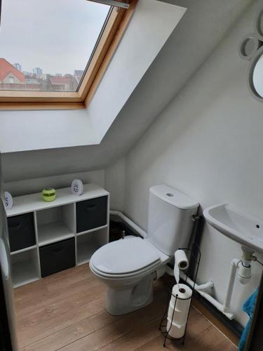 een badkamer met een toilet en een wastafel bij Les Iris, Malo les bains, 350 m de la plage in Duinkerke