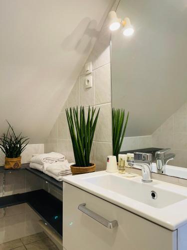 a bathroom with a sink and a mirror at La Maison Blanche in Sangatte