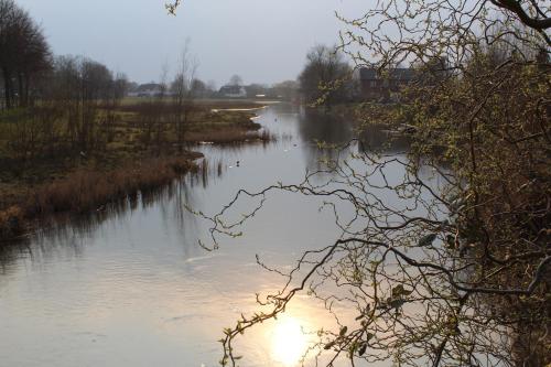 a view of a river with the sun reflecting on the water at BB De Hinker in Cothen