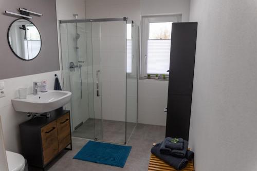 un bagno con doccia in vetro e lavandino di FeWo Aurora am Bodensee a Friedrichshafen