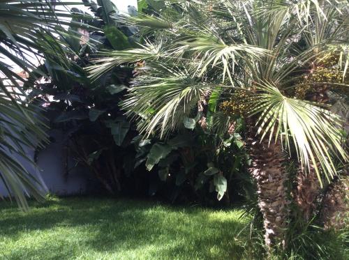 Giardino di Ucciardhome Hotel