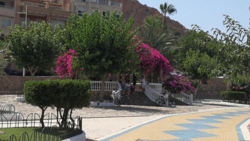 a person sitting on a bench in a park with pink flowers at Estudio La Colonia in Águilas