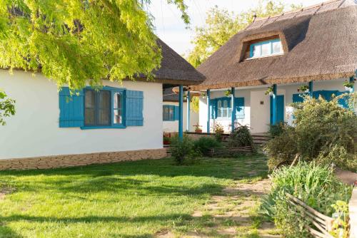 una casa con persianas azules y un patio de césped en 5 Chirpici - Small Traditional Resort, en Murighiol