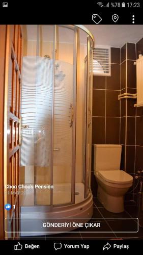 a bathroom with a shower and a toilet at Choo Choo Pansiyon in Egirdir