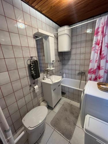 A bathroom at Apartman Palić Libero