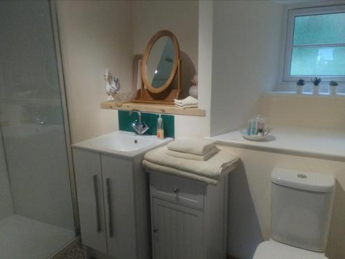 a bathroom with a sink and a mirror and a toilet at 2 Mill Cottages in Cornworthy