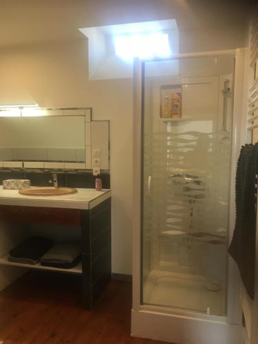 a bathroom with a shower and a sink at Logement détente avec jacuzzi et billard américain in Fournols