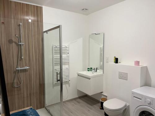 a bathroom with a shower and a toilet and a sink at le mendes in Évron