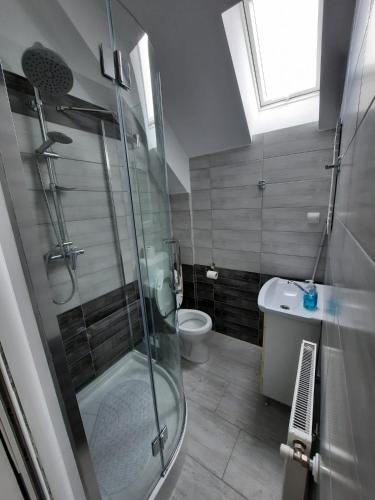 a bathroom with a shower and a toilet and a sink at Casa de oaspeti Maximilian in Codlea
