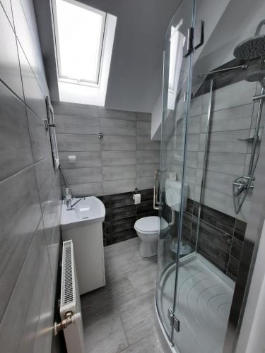 a bathroom with a shower and a toilet and a sink at Casa de oaspeti Maximilian in Codlea