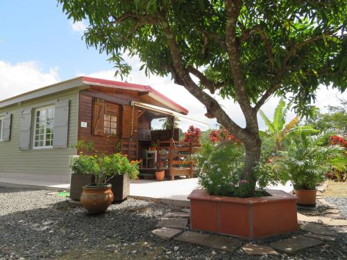 a small house with a tree in front of it at Bungalow des Palétuviers in Morne-à-lʼEau