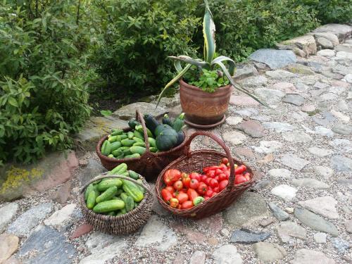 three baskets of fruits and vegetables on a stone ground at Agroturystyka „Między Polami” in Zalewo