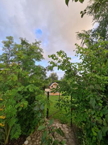 a field with trees and a house in the background at Agroturystyka „Między Polami” in Zalewo