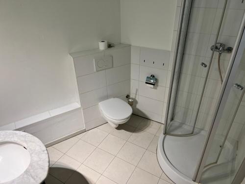 a bathroom with a toilet and a shower at kleines Häuschen in Alzenau in Unterfranken