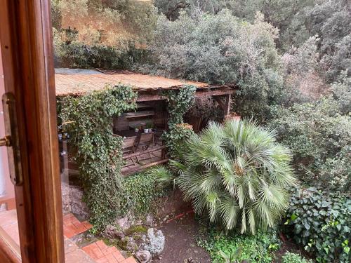 a view of a garden with plants and a house at Villa Paradisino in Orbetello