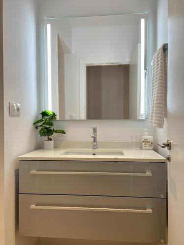 a bathroom with a sink and a mirror at Bilbao Azkuna Home Centro EBI01832 in Bilbao